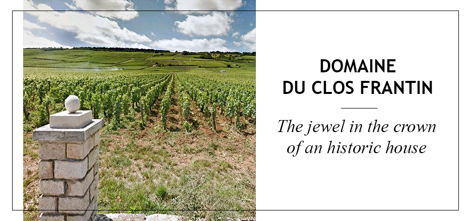 (image for) Domaine du Clos Frantin CLOS DE VOUGEOT 1986 (Vvsbs)